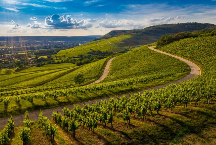 Image by wirestock on Freepik | Embark on a scenic journey through the captivating vineyards of Tuscany.