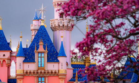How Much Money Does Disneyland Make in a Day